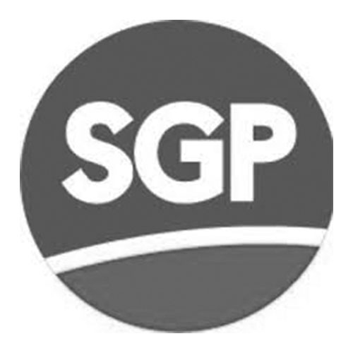 Seguridad SGP